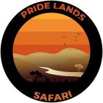 Pride Lands Safari