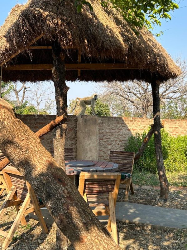 WhatsApp Image 2025-09-22 at 08.17.53